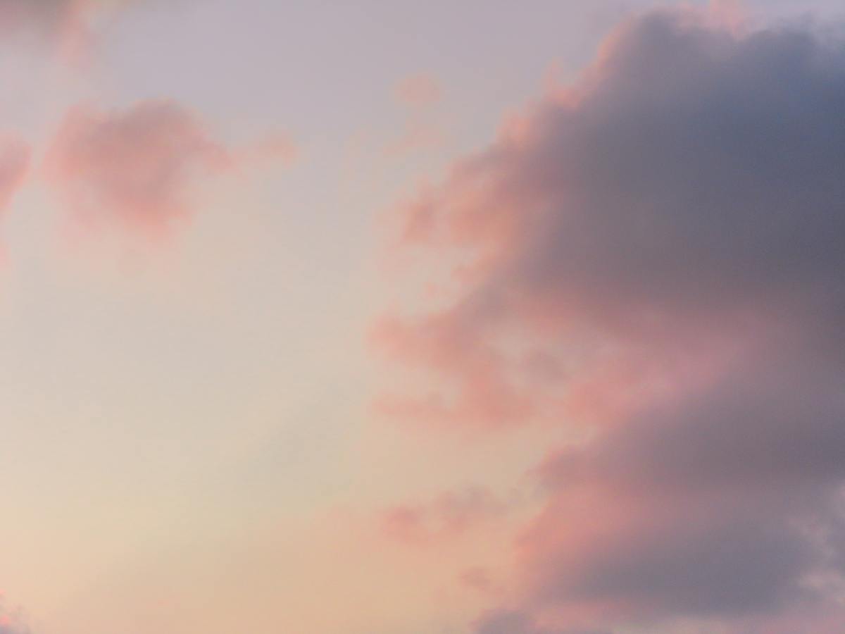 Réseaux sociaux : La &laquo;&nbsp;star-ification&nbsp;&raquo; du vide où l&rsquo;ère du culte des&nbsp;égos