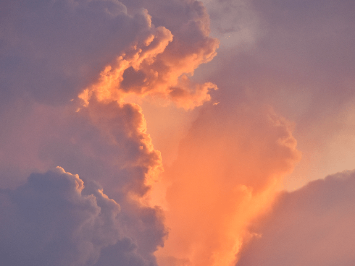 Le développement du Nafs : La marketplace de l&rsquo;escroquerie